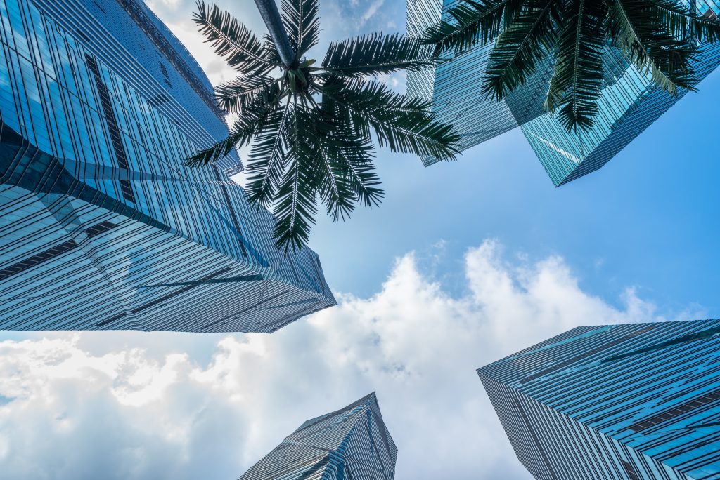 Comprehensive Real Estate Development Services in Saudi Arabia 1 Real estate development services in Saudi Arabia